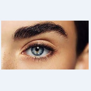 پک کامل تقویت ابروی رویال 